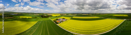 Blühende Rapsfelder (Brassica napus), Gehöft mit Solarstrom und Biogas, Kreis Friedberg, Wetterau, Hessen, Deutschland