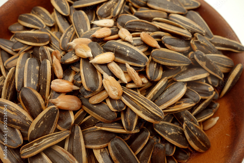 sunflower seed sunflower seed