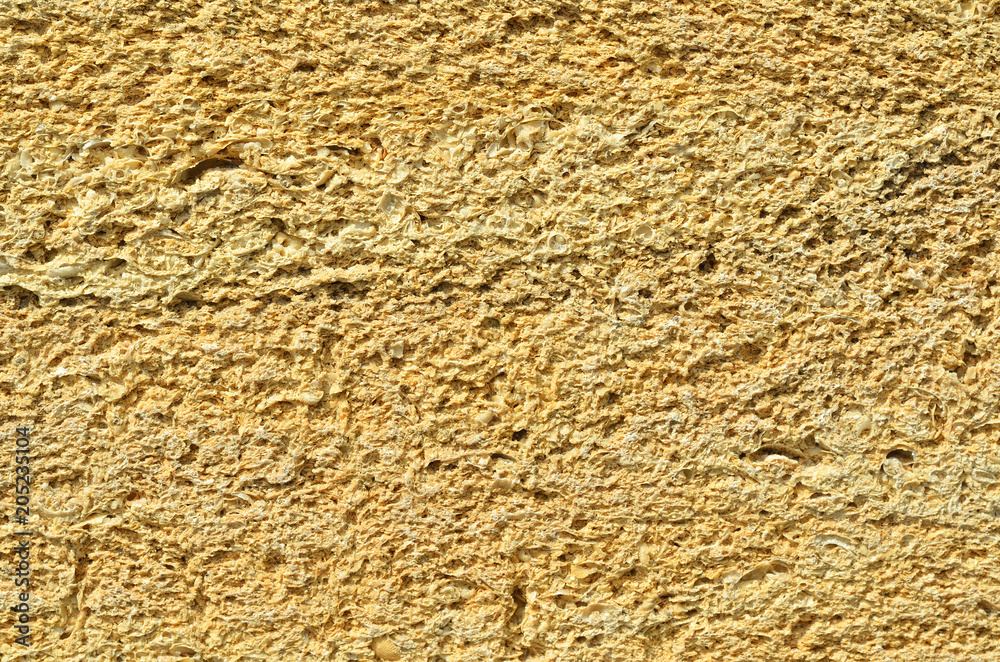 The wall is made of Crimean brick, brick from shells, texture. The wall is made of Crimean brick, brick from shells, texture.