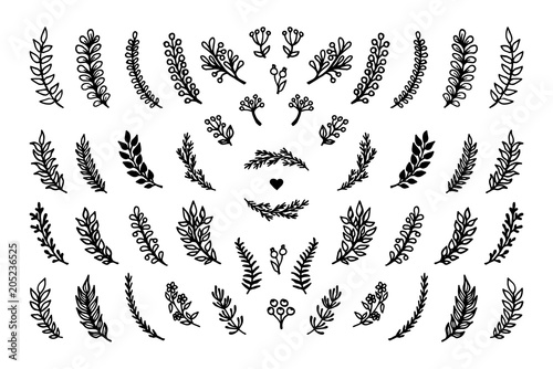 Set of vector hand drawn floral elements: flowers, branches, leaves, berries. Rustic collection