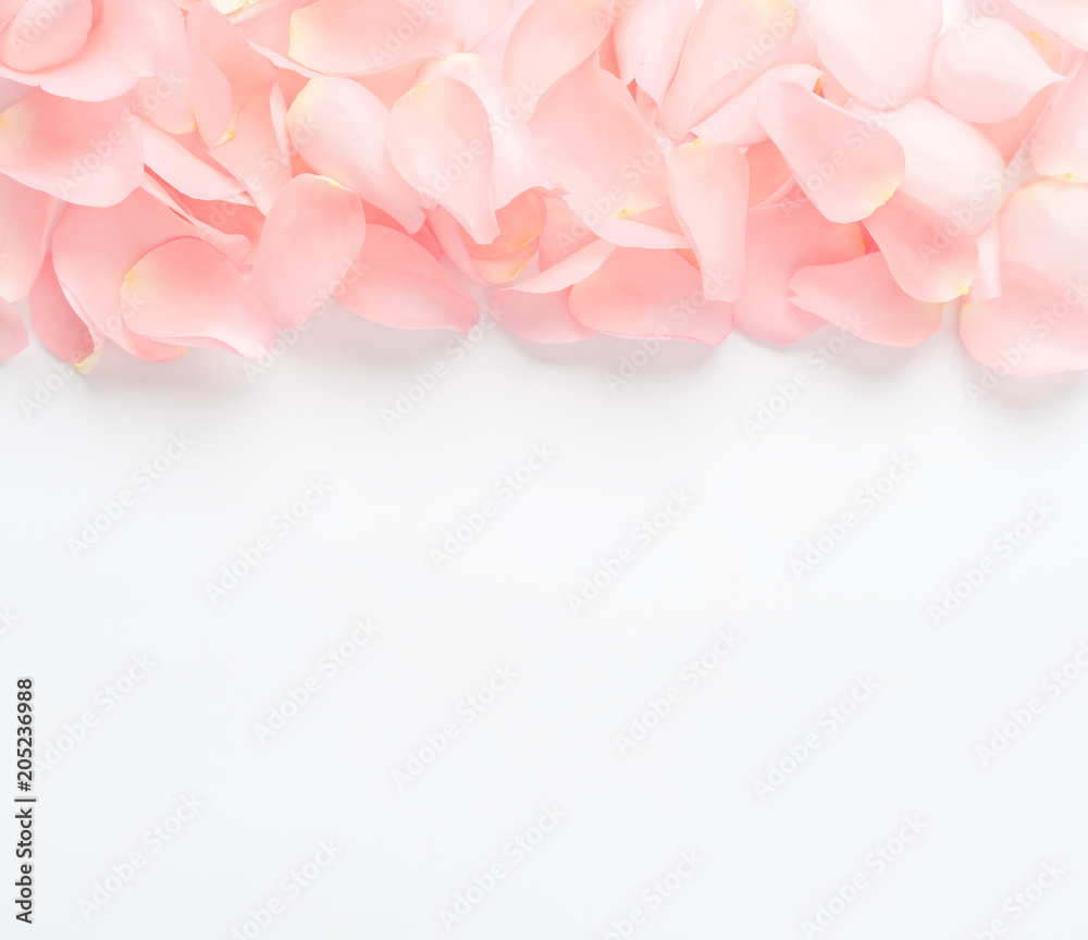 Fototapeta premium pink petal