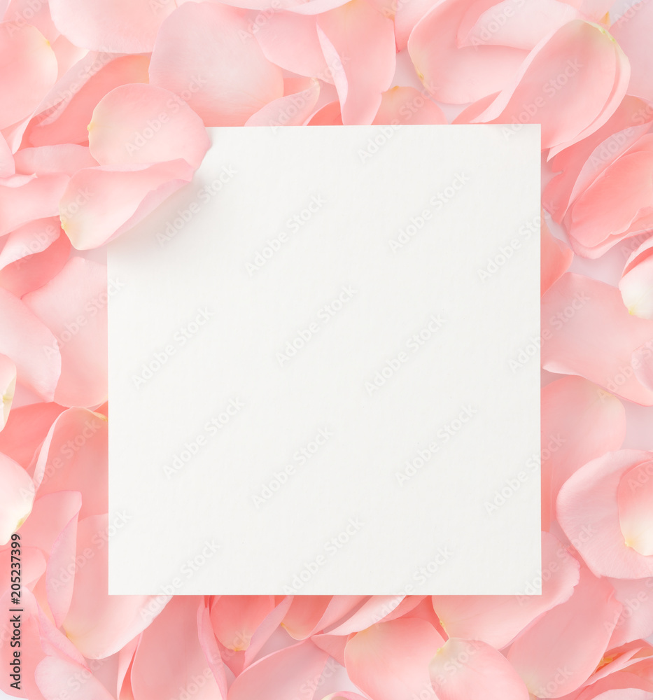 pink petal pink petal