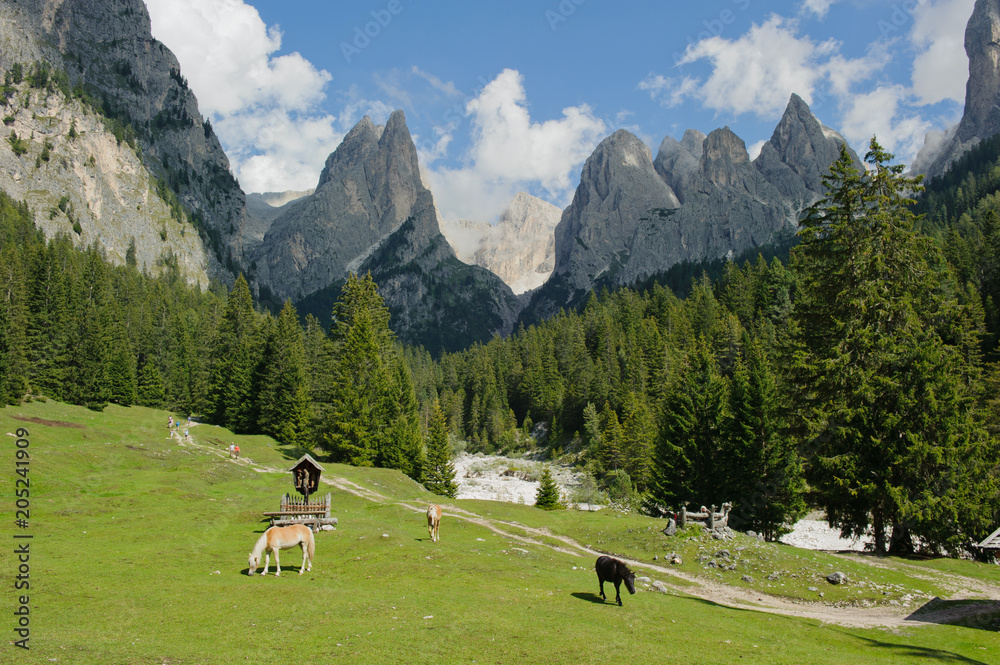 Tschamintal in den Dolomiten in Südtirol