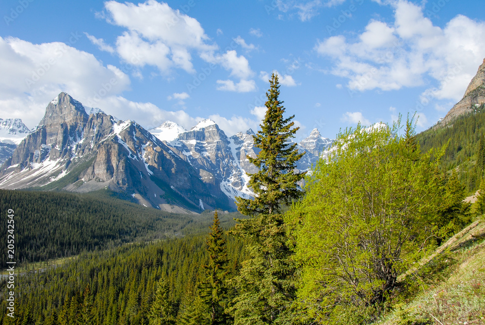 Fototapeta premium 春のカナディアン・ロッキー バンフ国立公園 朝のモレーン湖周辺の山並みと新緑（カナダ）