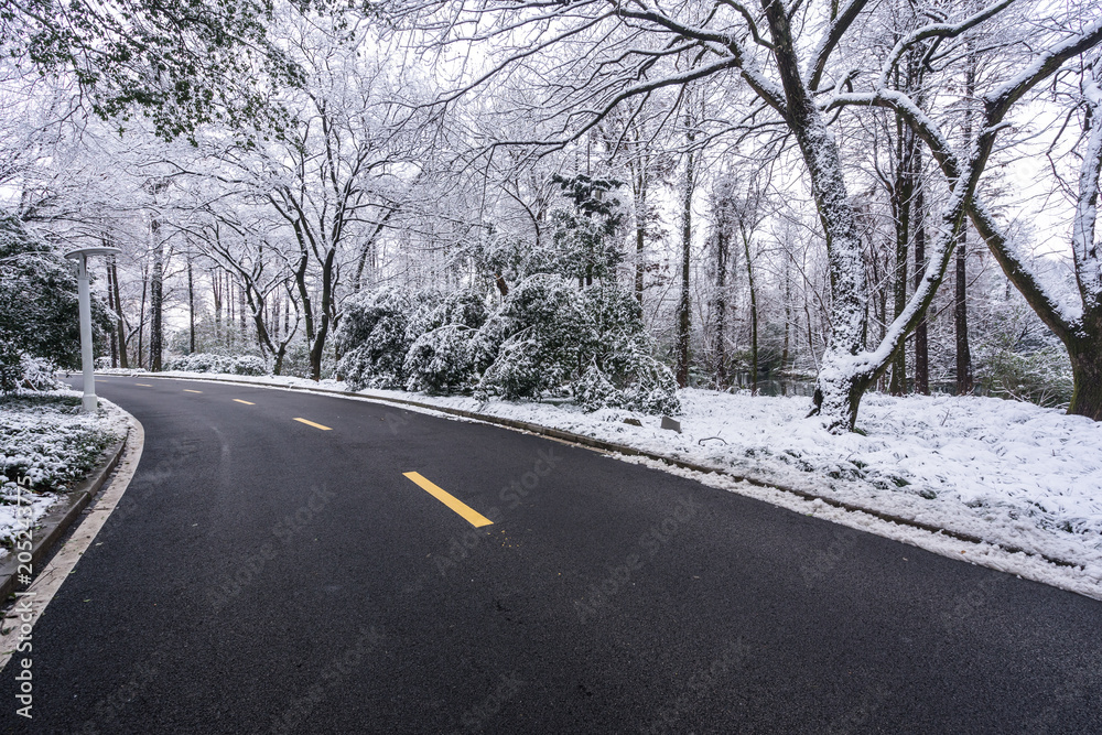 Fototapeta premium snow road in winter