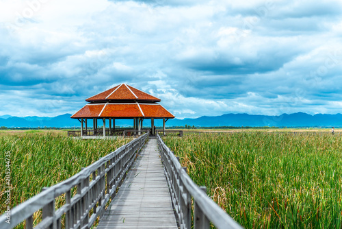 Fototapeta Naklejka Na Ścianę i Meble -  Small pavilion with wooden bridge over green pond under cloudy sky in Thailand