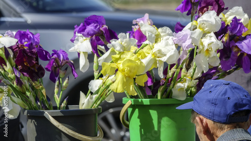 Fototapeta Naklejka Na Ścianę i Meble -  Trading with summer flowers