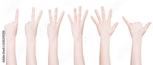 hands on white background