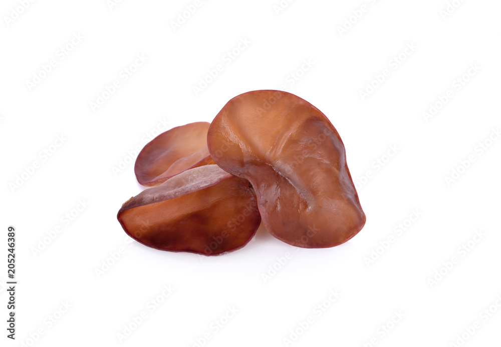 fresh Jew's Ear Mushroom on white background fresh Jew's Ear Mushroom on white background