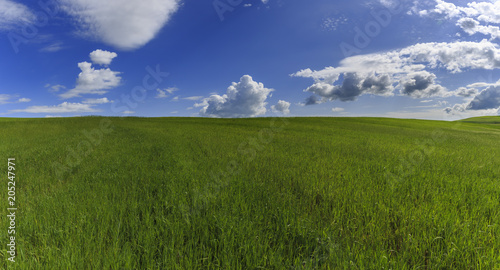 Spring in the fields of Gob...