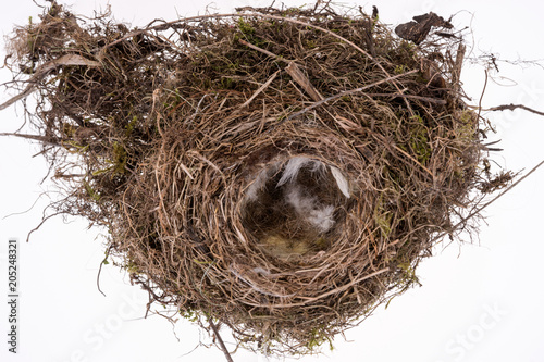 Natural bird nest with feathers isolated on white background