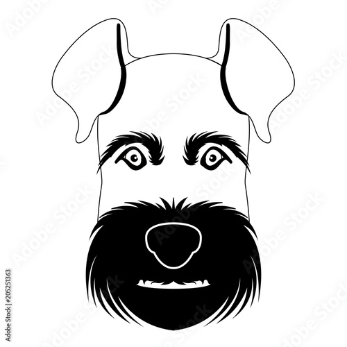 Silhouette of a schnauzer avatar
