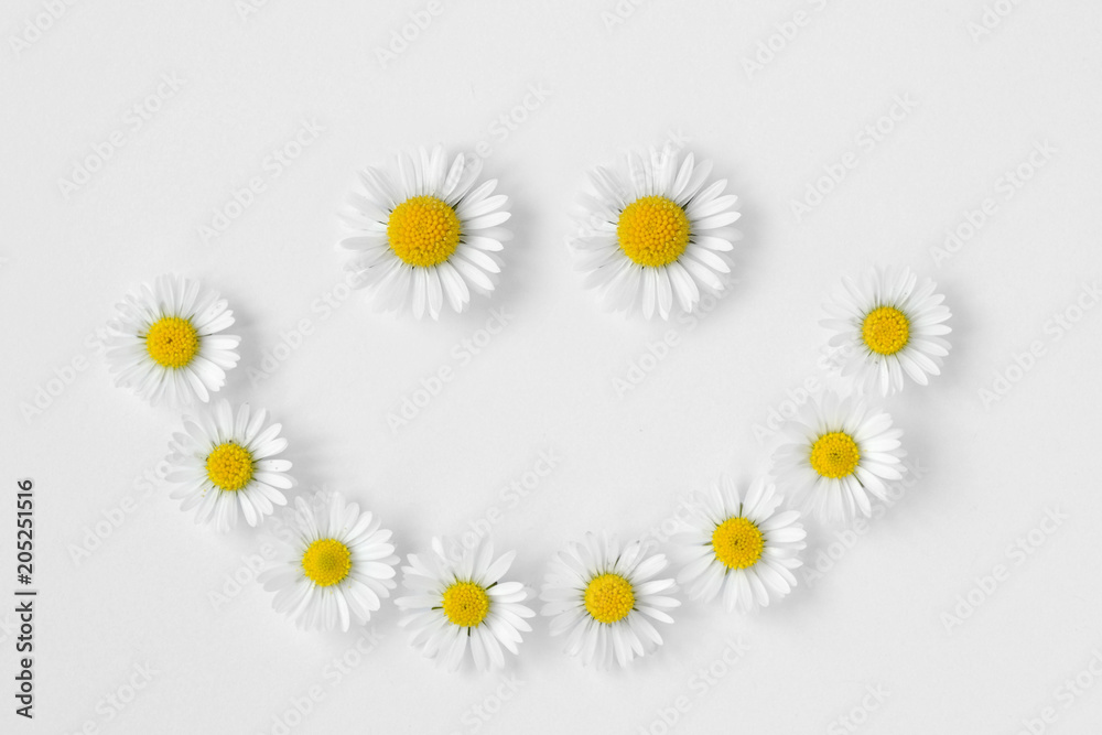 Obraz premium Daisies smile on white background