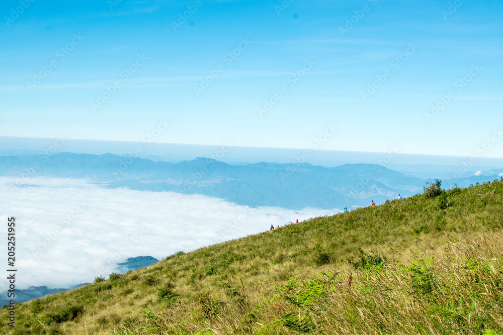 Sky, mountain, forest, fog and beautiful views. Sky, mountain, forest, fog and beautiful views.