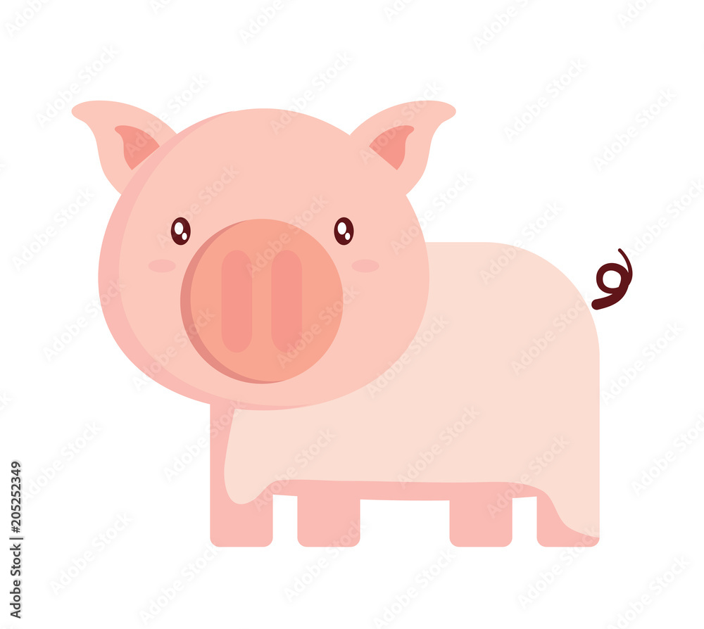 cute pig icon over white background, colorful design. vector illustration cute pig icon over white background, colorful design. vector illustration