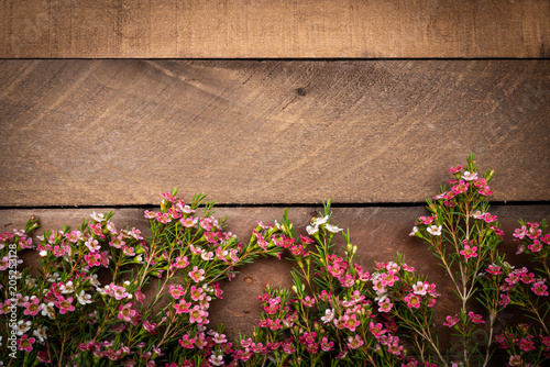 Fototapeta Naklejka Na Ścianę i Meble -  Tiny pink flowers on a wood plank backgroud with copy space