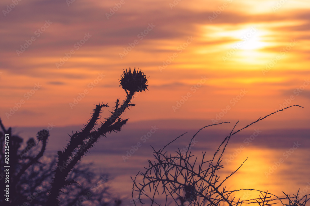 Fototapeta premium Sunset or sunrise over sea surface