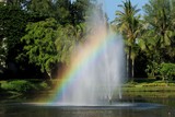 Rainbow on the water fountain on a sunny day in summer morning. Nature concept.