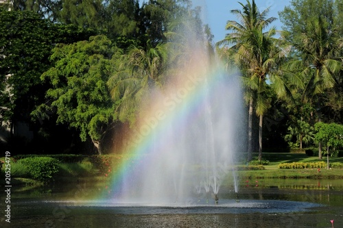 Rainbow on the water fountain on a sunny day in summer morning. Nature concept.