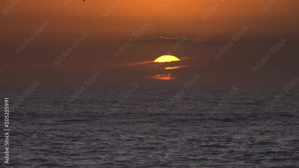 Seagulls fly over sea against backdrop of setting sun, timelapse 4k Seagulls fly over sea against backdrop of setting sun, timelapse 4k