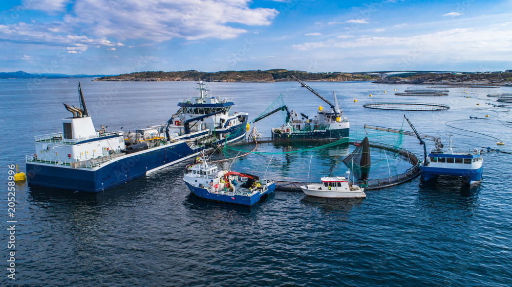 Fototapeta premium Salmon fish farm in fjord. Norway, Bergen.