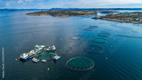 Salmon fish farm in fjord. Norway, Bergen.
