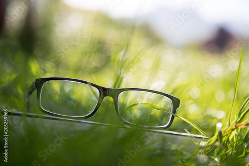 Brille auf Buch draußen im Gras, Intelligenz, Textfreiraum