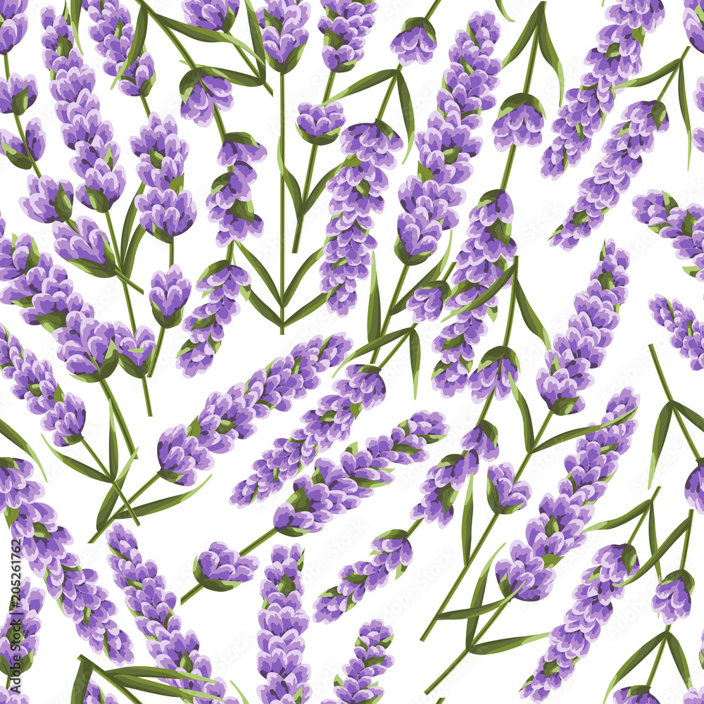 Obraz wzór fioletowe kwiaty lawendy, kwiaty w stylu przypominającym akwarele. eleganckie kwiaty. tło wektor