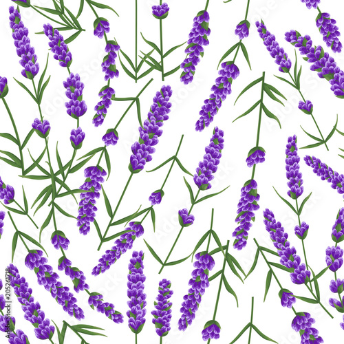 seamless pattern of purple lavender flowers, watercolor style flowers. elegant flowers. vector background