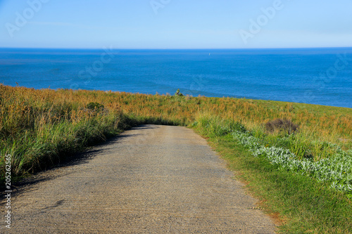 Road leading to the Indian Ocean  East London Coast Nature Reserve  Eastern Cape province  South Africa