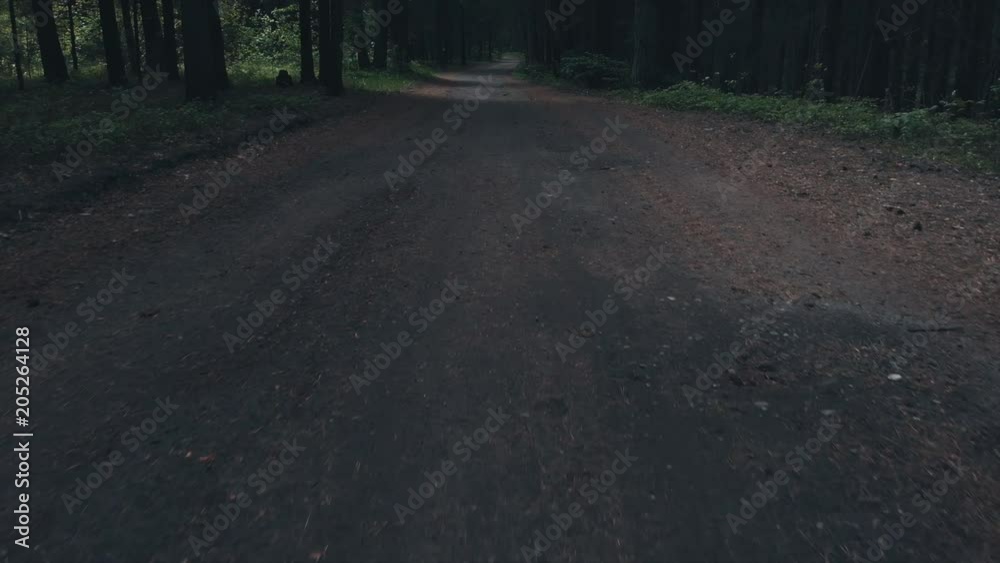 EST DX TILT UP aerial drone footage of moody forest road. 4K UHD