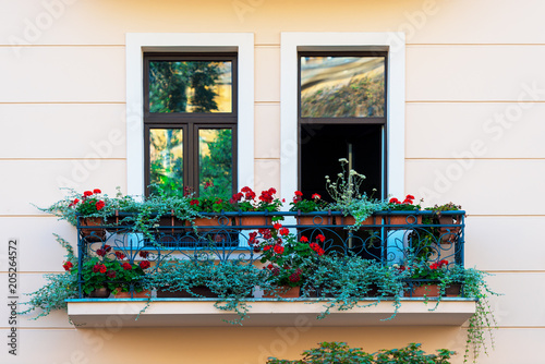 beautiful geranium flowers on the windowsill in the house