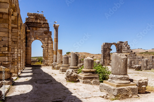 Canvas Print The Volubilis site in Morocco