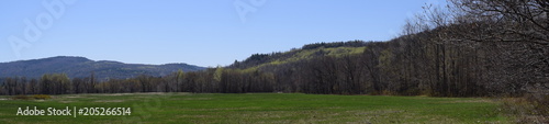 Maine Field in Spring