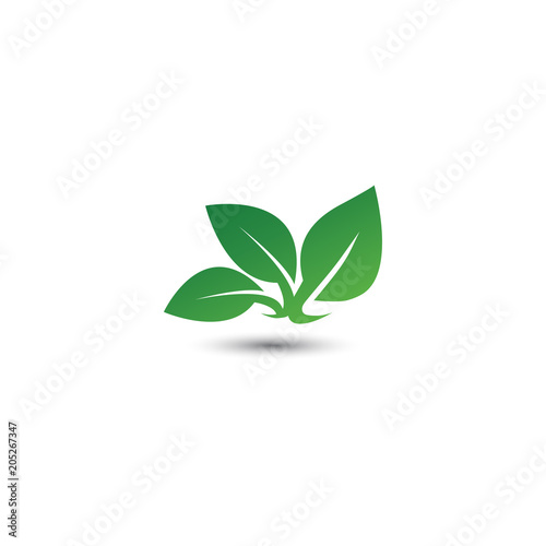 Abstract leaf logo icon template