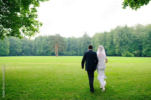 The bride and groom are walking in the park. Green lawn, summer day. © Мария Аввакумова