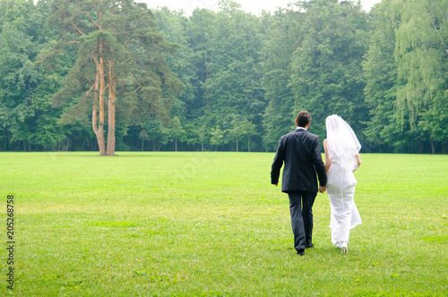 The bride and groom are walking in the park. Green lawn and beautiful pine, summer day. © Мария Аввакумова