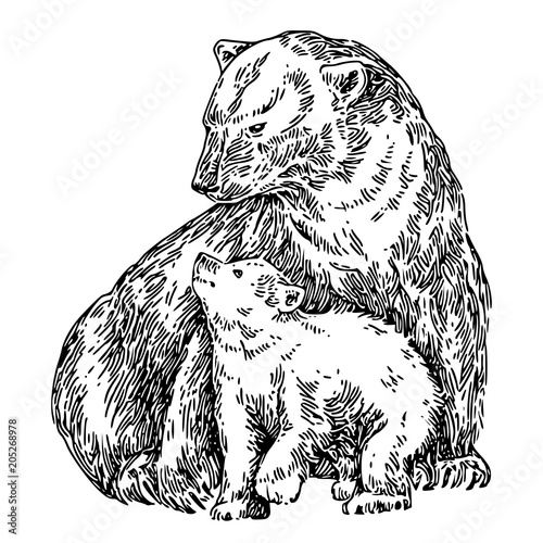 Polar bear with baby. Sketch. Engraving style. Vector illustration.