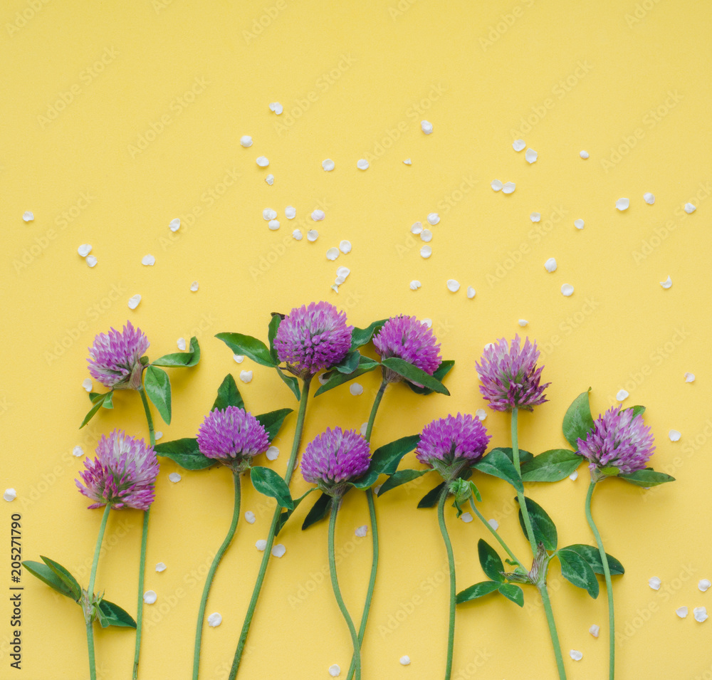 purple clover yellow flowers
