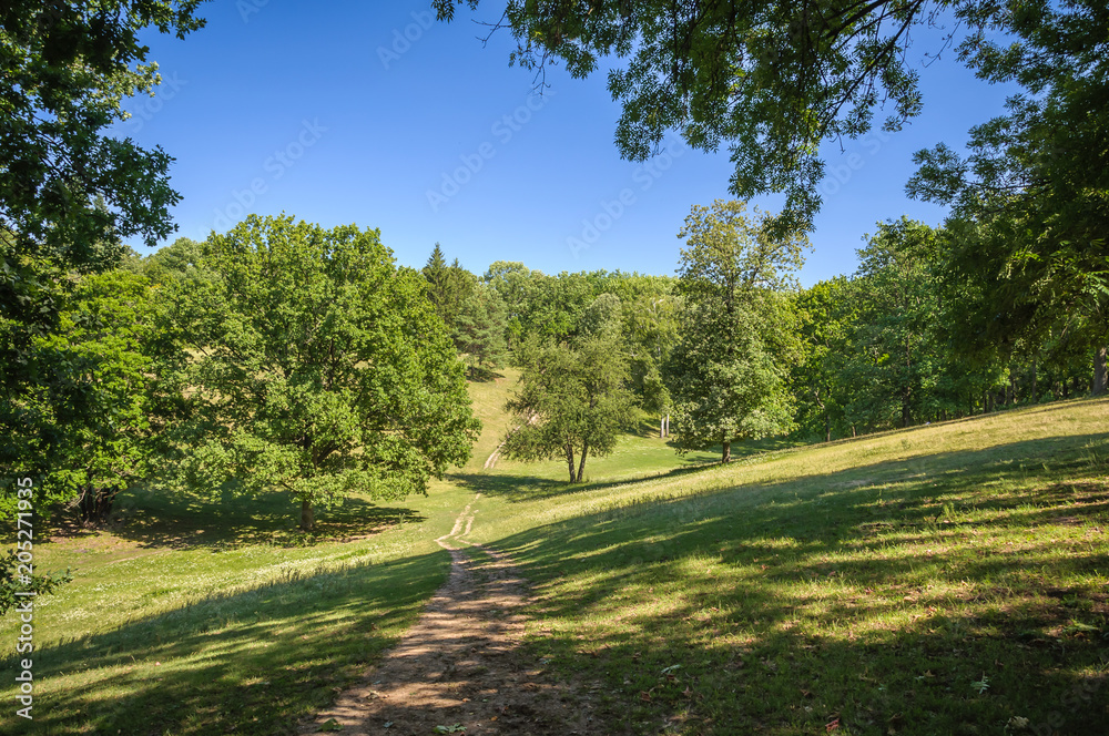 Naklejka premium Road in the valley