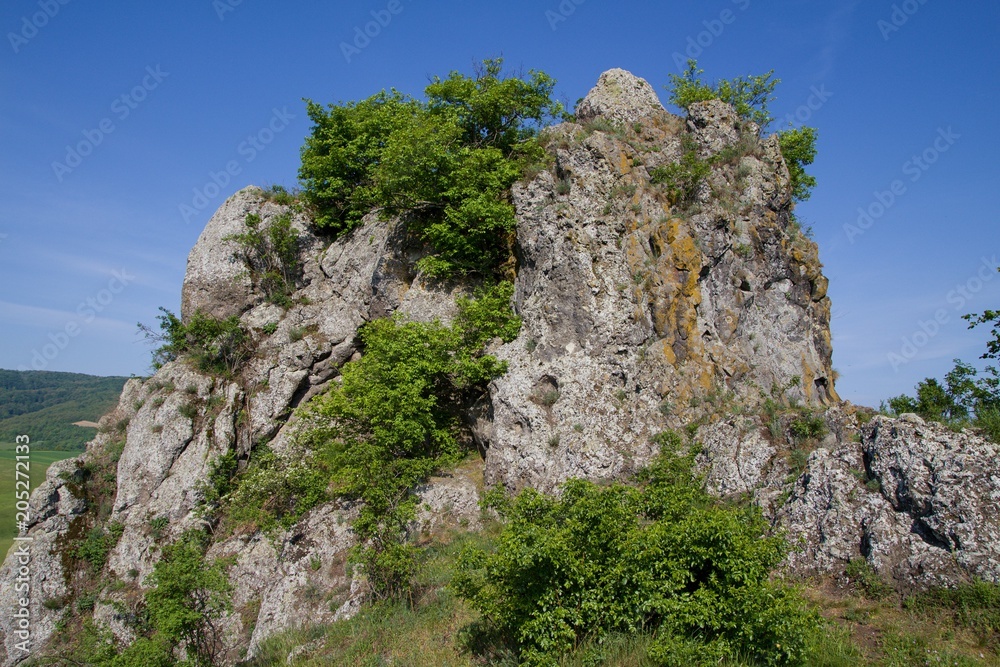 Owl castle in Slovakia