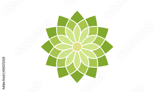 Floral Pattern Logo design inspiration