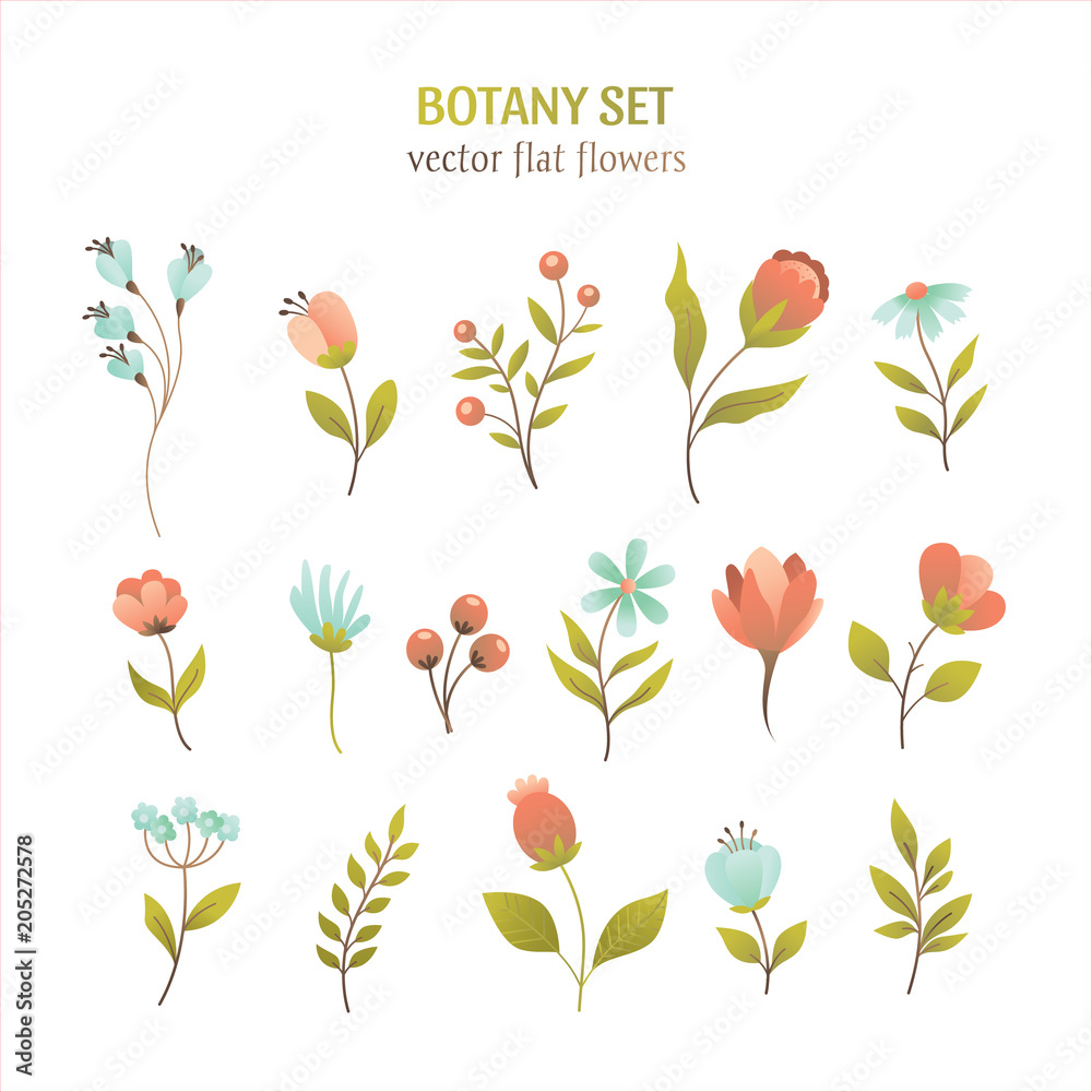 Flat botany collection 