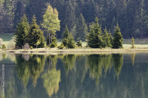 Fototapeta Naklejka Na Ścianę i Meble -  Reflets sur le lac