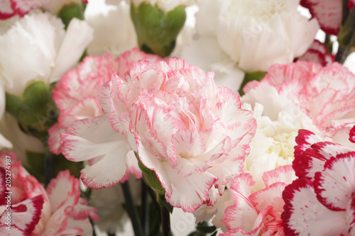 Pink carnation flower bouquet