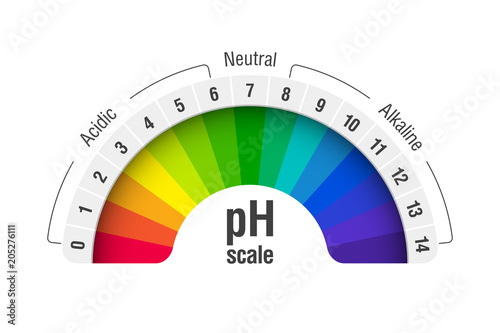 pH value scale chart for acid and alkaline solutions, acid-base balance infographic photo
