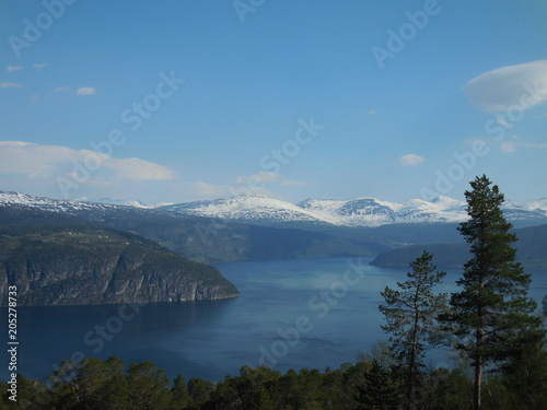 Innvikfjord photo