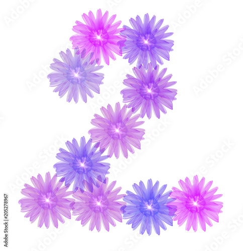 3d number two of purple flowers  design element