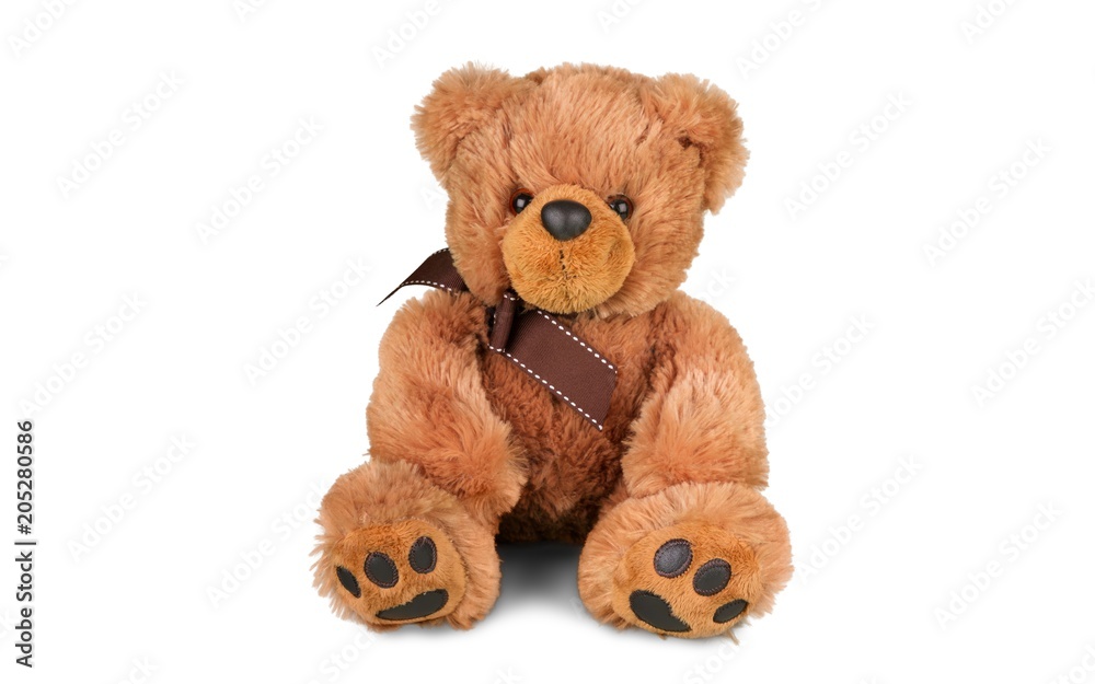 Bear. Bear.