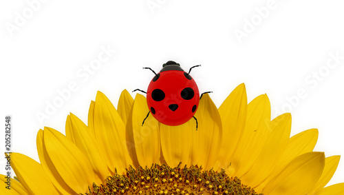 insect lladybird on sunflower isolated in white - 3d rendering